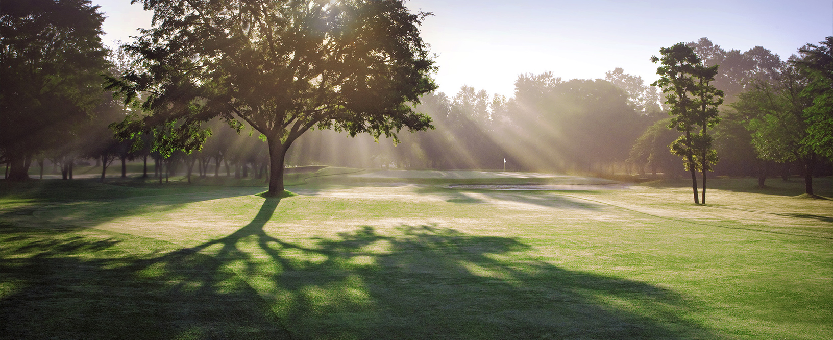 8番ホールコース写真
